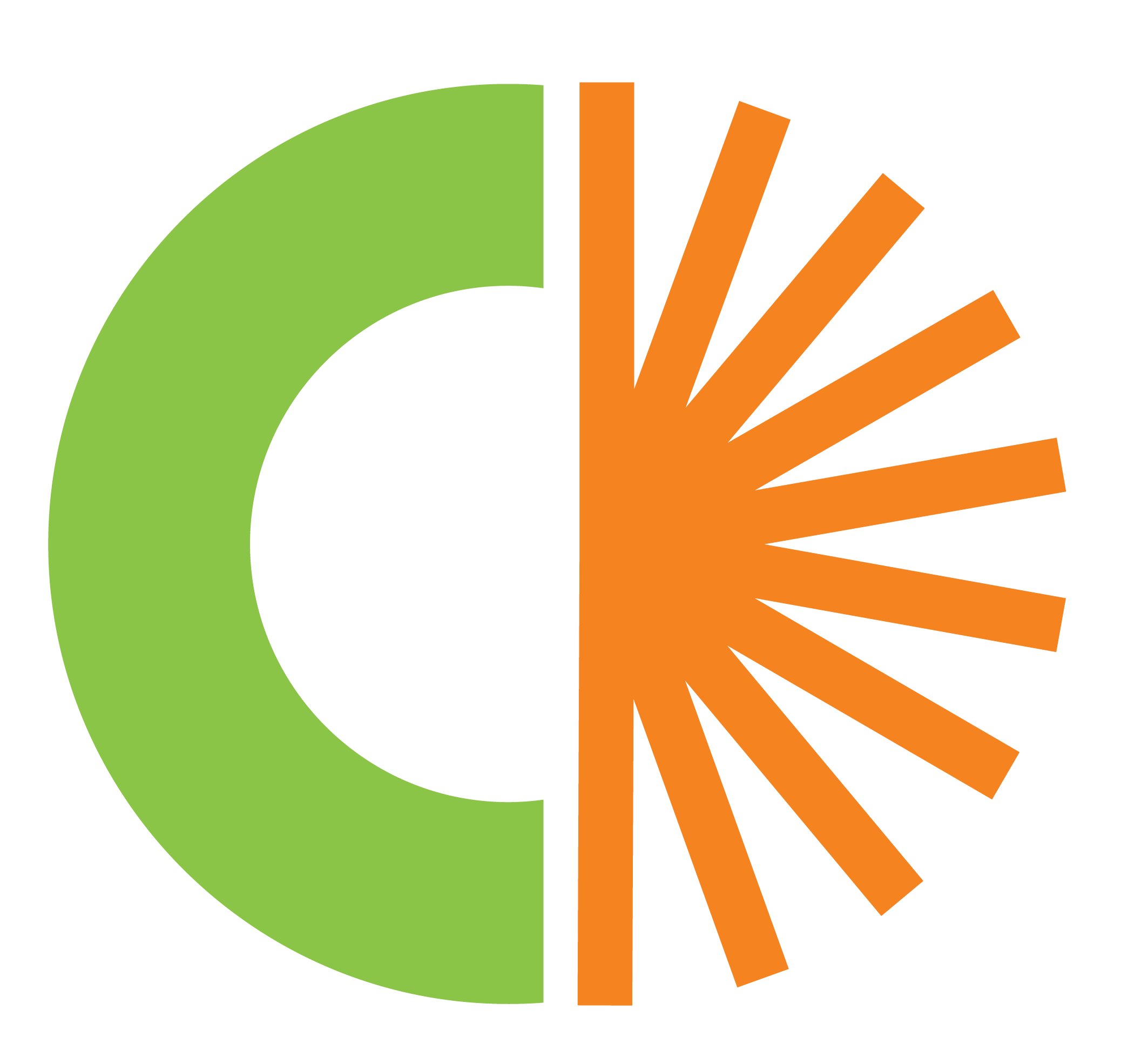 Capapo Solutions logo