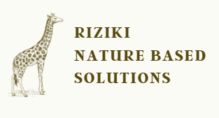 Riziki Nature Based Solutions logo