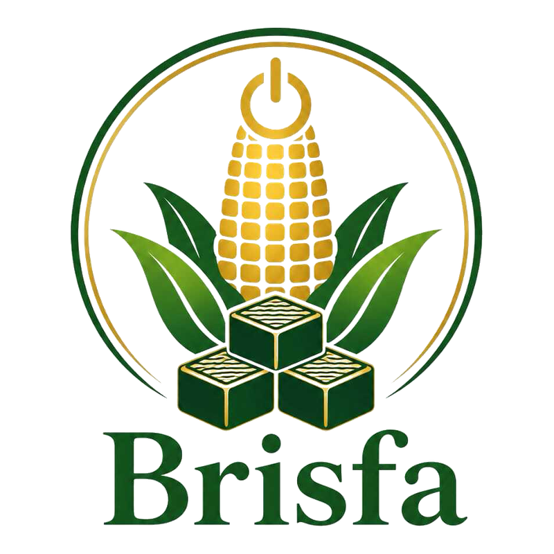 Brisfa logo
